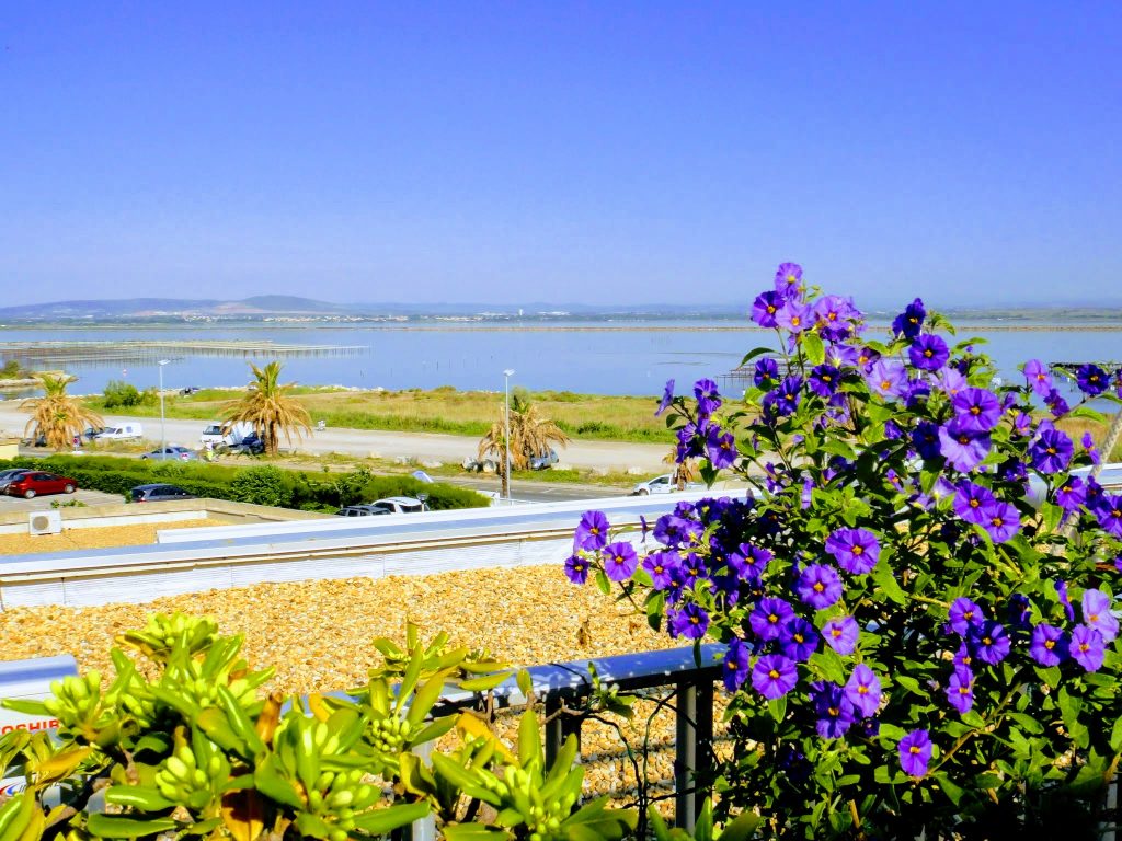 Vue de la grande terrasse du Front de Mer location de vacances à la semaine ou au mois sur la plage de Palavas